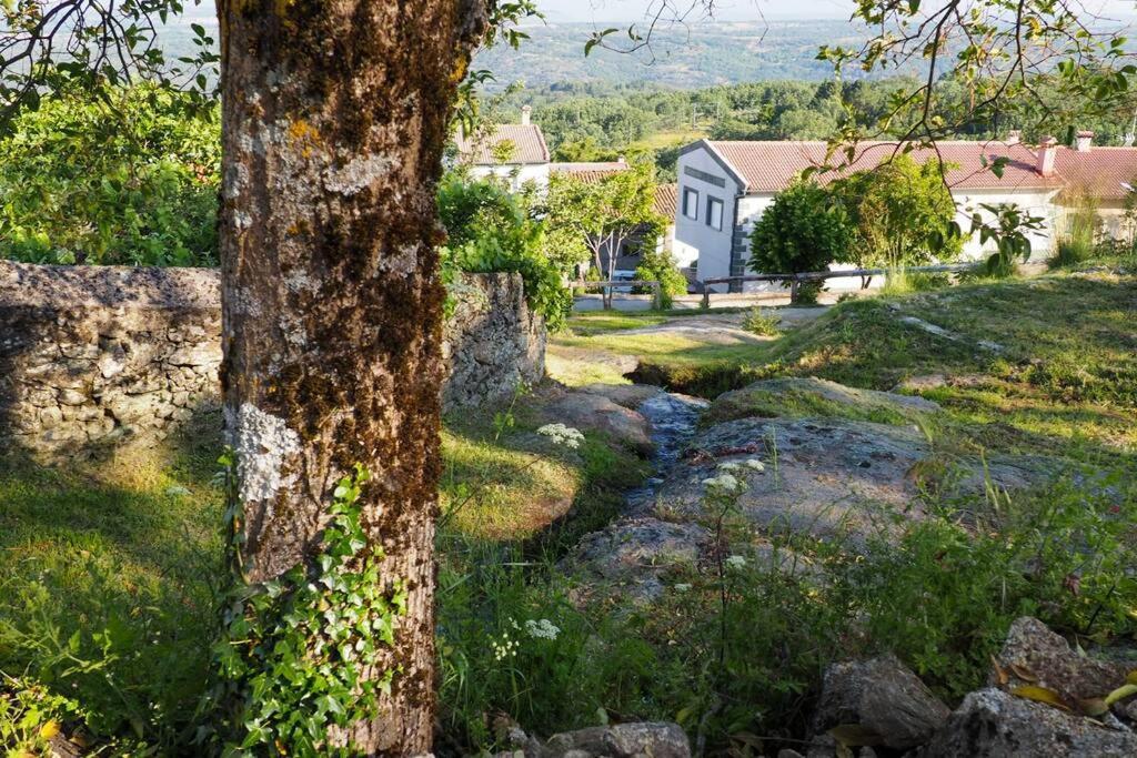 El Bosque De Los Romanos Apartment Puerto de Bejar Bagian luar foto