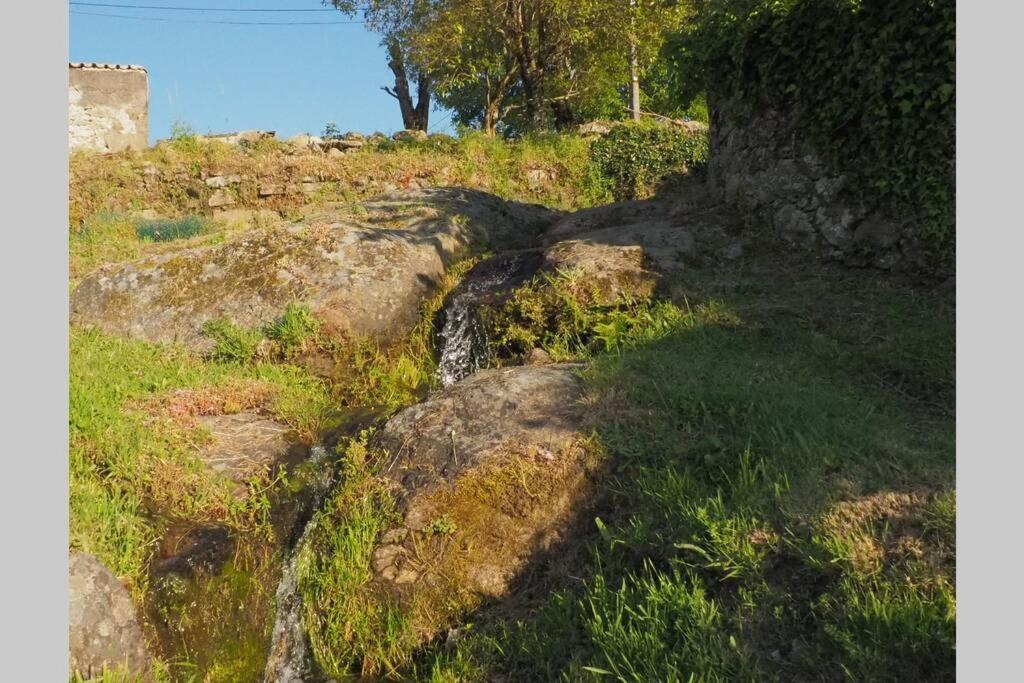 El Bosque De Los Romanos Apartment Puerto de Bejar Bagian luar foto